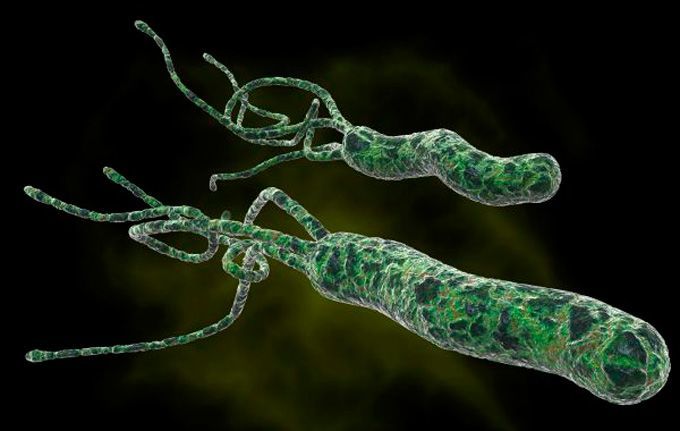 Helicobacter pylori - Peptic ulcer treatment