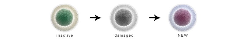activating stem cell