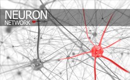 Terapie kmenových buněk pro parkinsonskou chorobu Parkinsonova choroba léčba kmeňovými buňkami