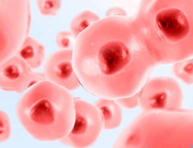 Stem cells separated from fat liposuction stem cells