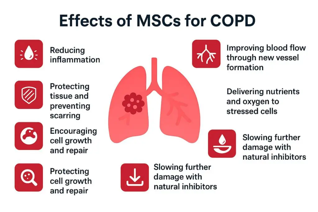 MSCs work for COPD