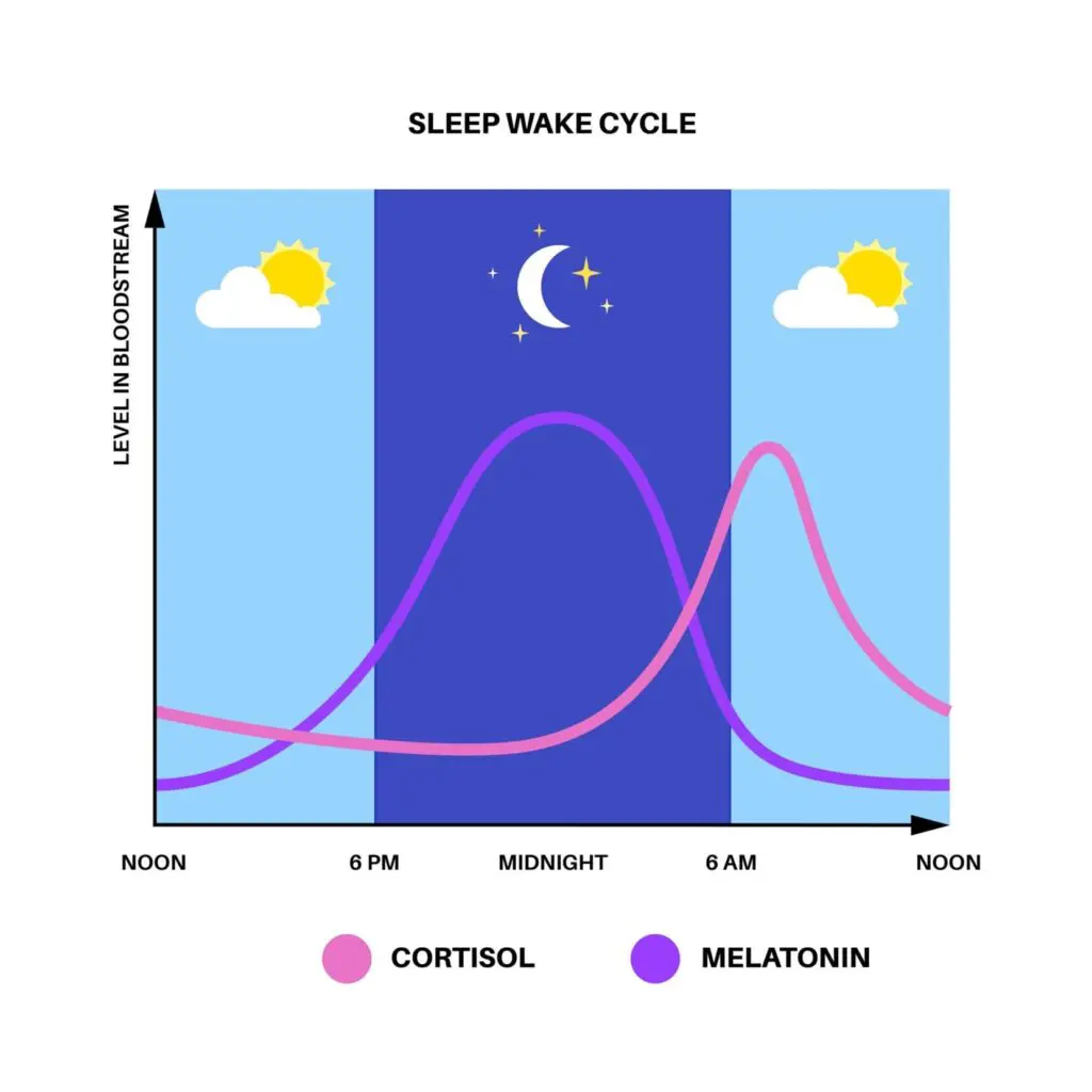 Melatonin cycle