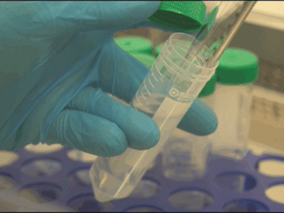 Laboratorio Swiss Medica
