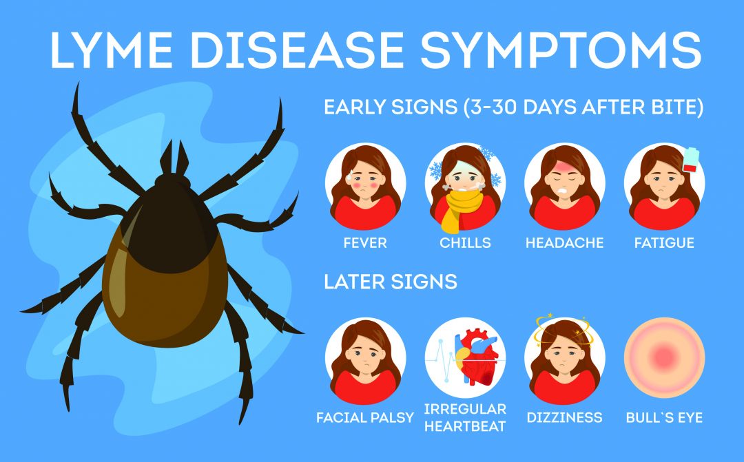 Lyme Disease Stem Cell Treatment Swiss Medica