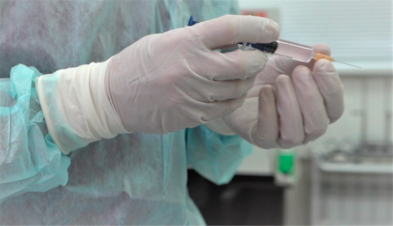 Dans la thérapie, les cellules souches mésenchymateuses peuvent être administrées par voie intraveineuse ou locale, ou dans les deux sens.