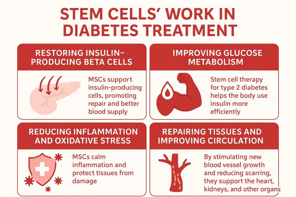 Stem Cell Therapy for Type 2 Diabetes: How Regenerative Medicine Is Changing Treatment