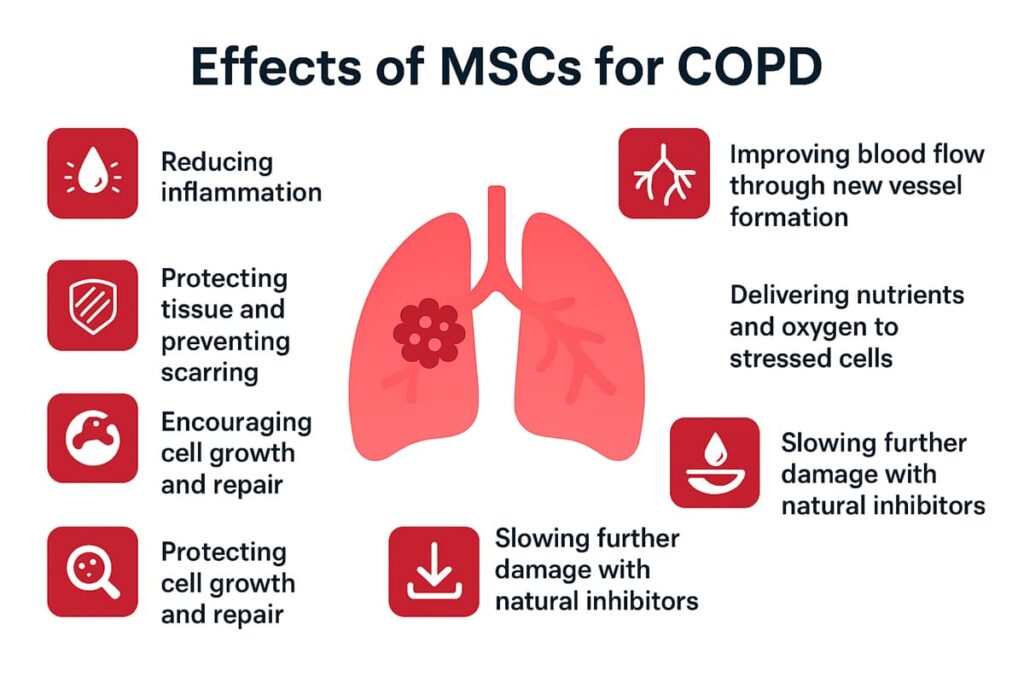 Stem Cell Therapy for COPD at Swiss Medica: How It Works and What to Expect