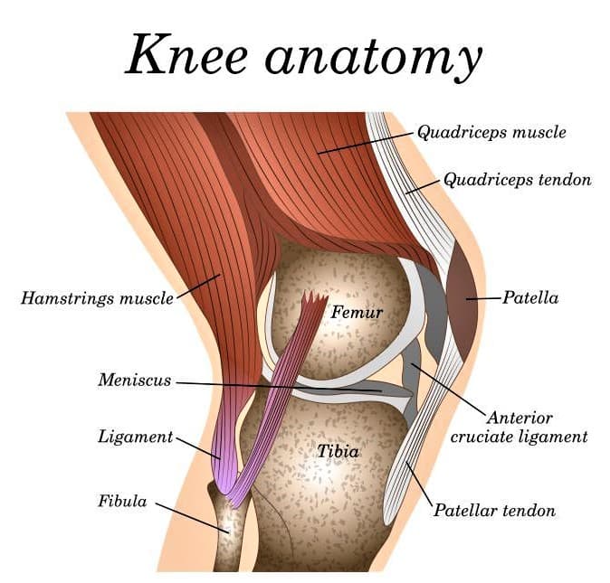 Knee Pain Treatment