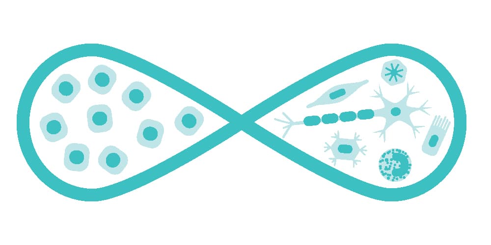 IMR Therapy (Intracellular Metabolism Recovery Therapy)