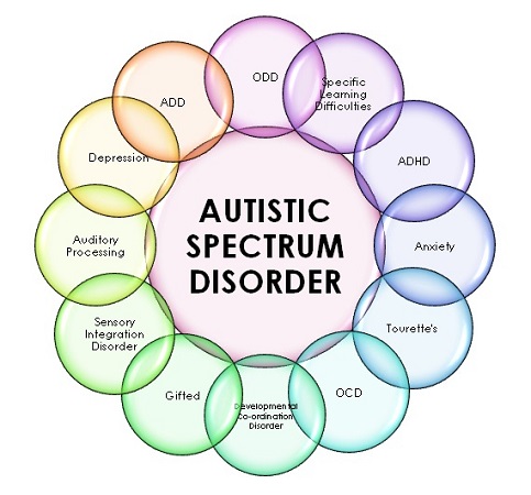 current research on autistic spectrum disorder