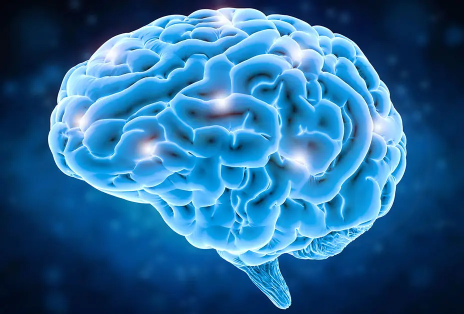 treatment-services-for-als