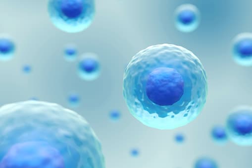 Terapia con cellule staminali per le malattie autoimmuni