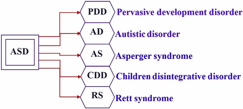 Understanding The Three Levels Of Autism: Everything You Need To Know