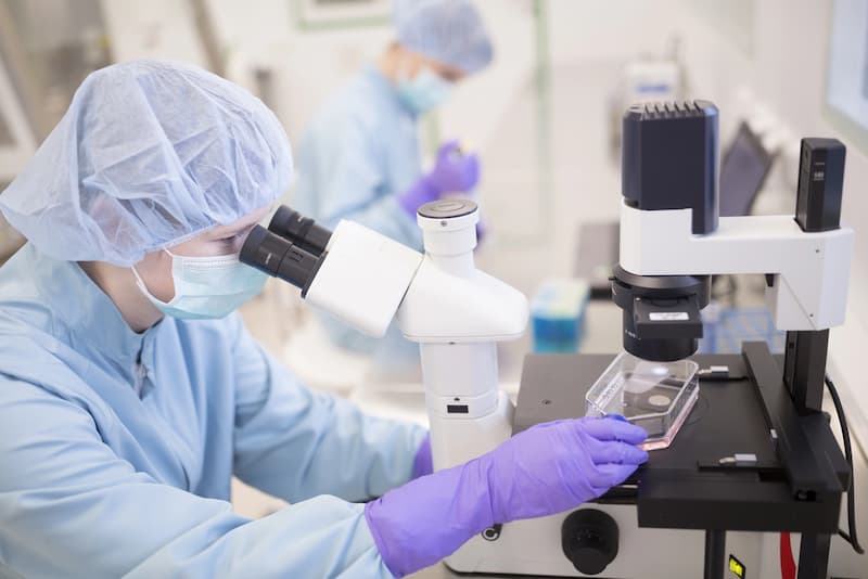 Stem Cell Therapy Success Rate: What Real Results Say