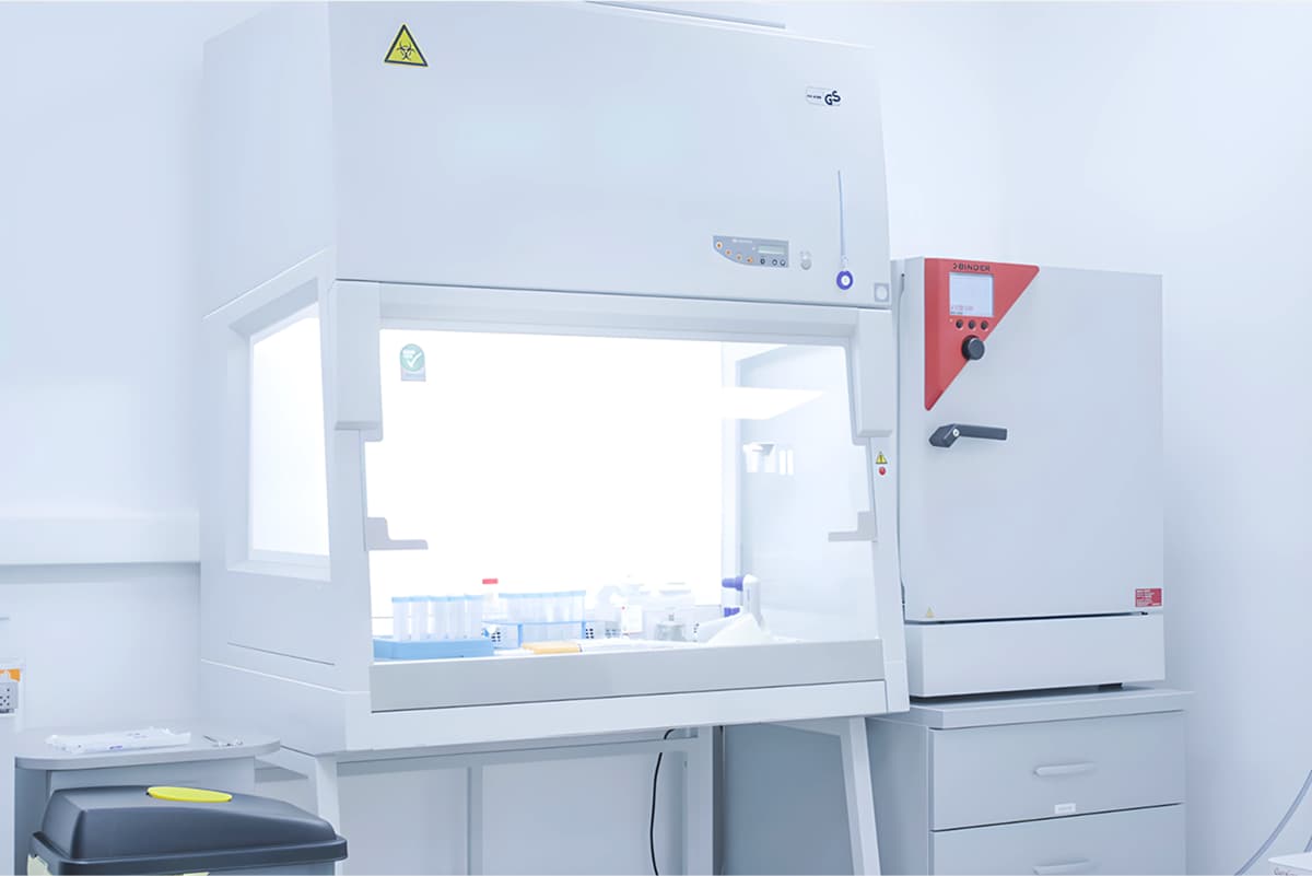Our Lab: Where Does Stem Cell Therapy Begin