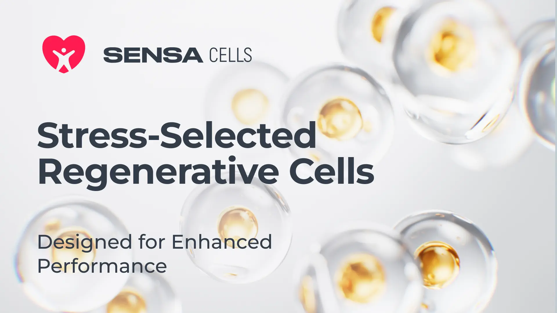 SENSA Cells: The Next Generation of Regenerative Cell Therapy