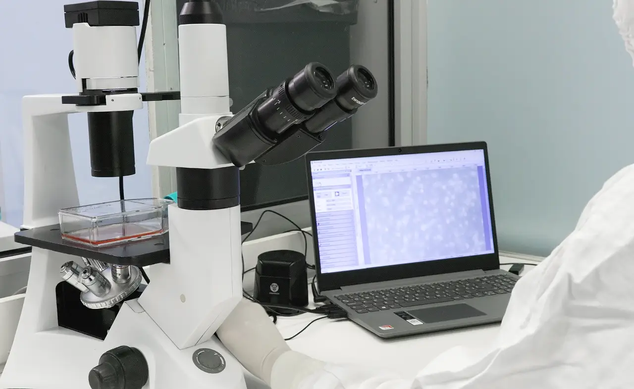 Cell Viability Testing