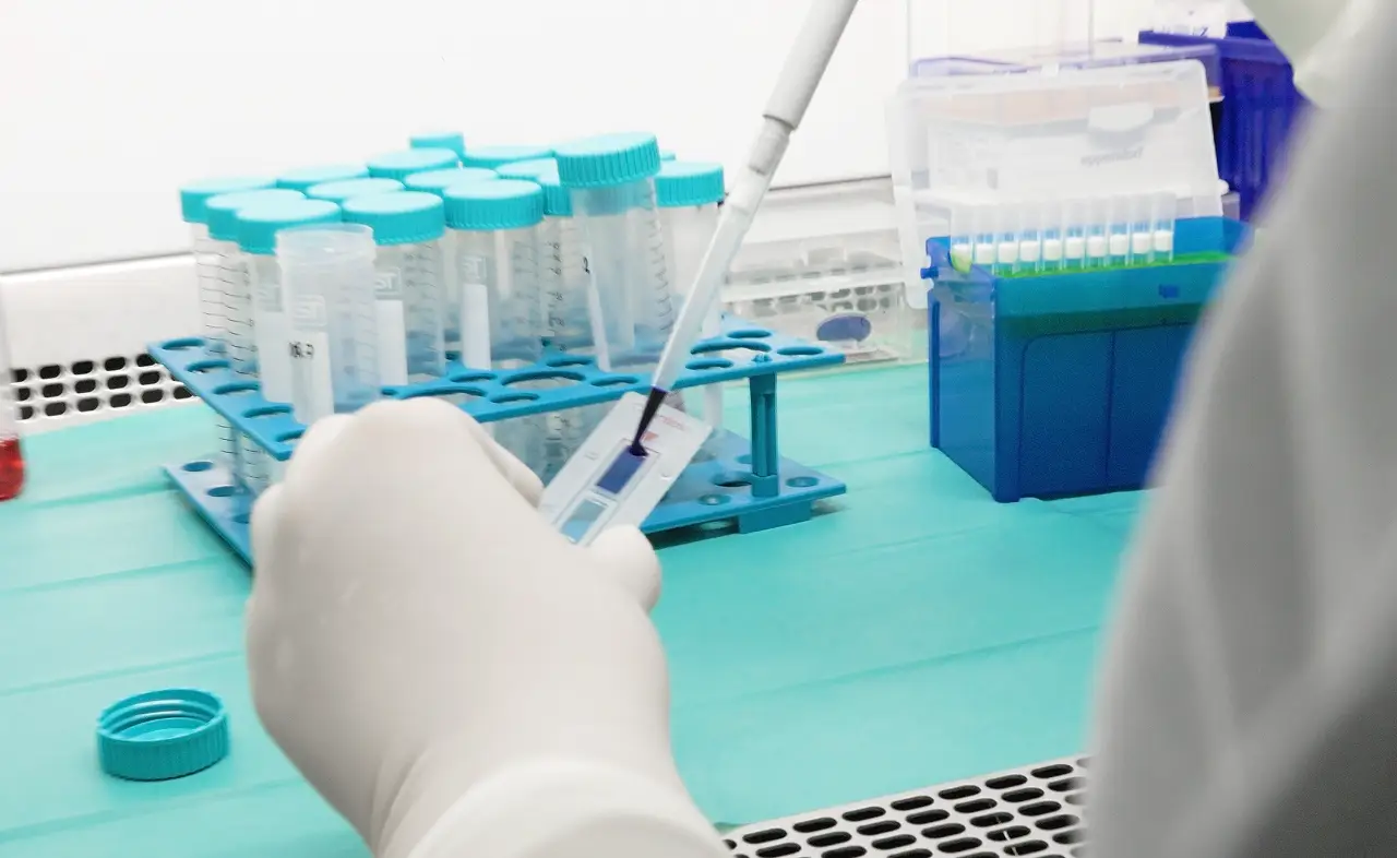 Sterility and Safety Assessment