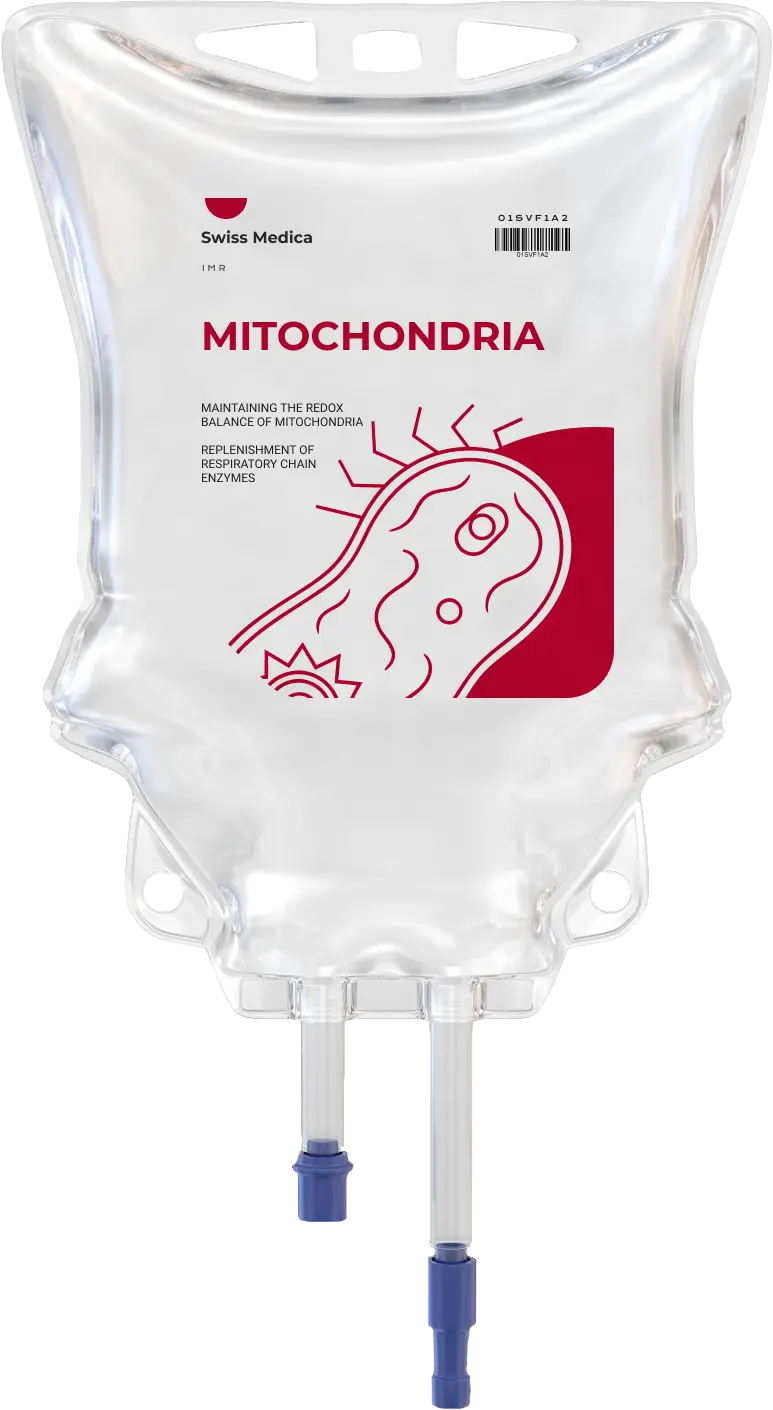 Mitochondria